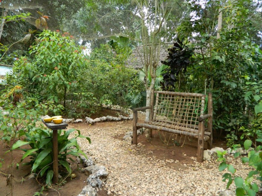 Zanzibar: Half - Day Jozani Forest and Butterfly Centre Guided Tour