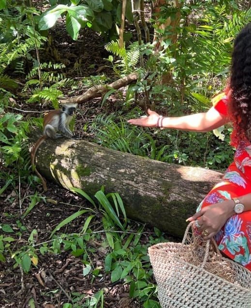 Zanzibar: Half - Day Jozani Forest and Butterfly Centre Guided Tour