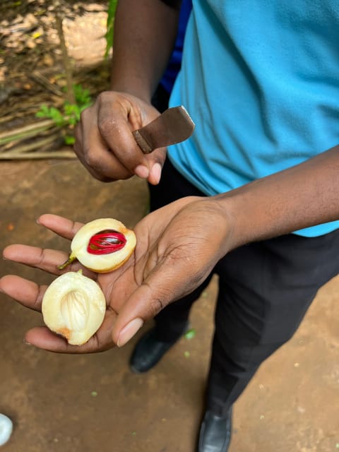 Zanzibar: Half - Day Spice Farm and Stone Town Historical Tour