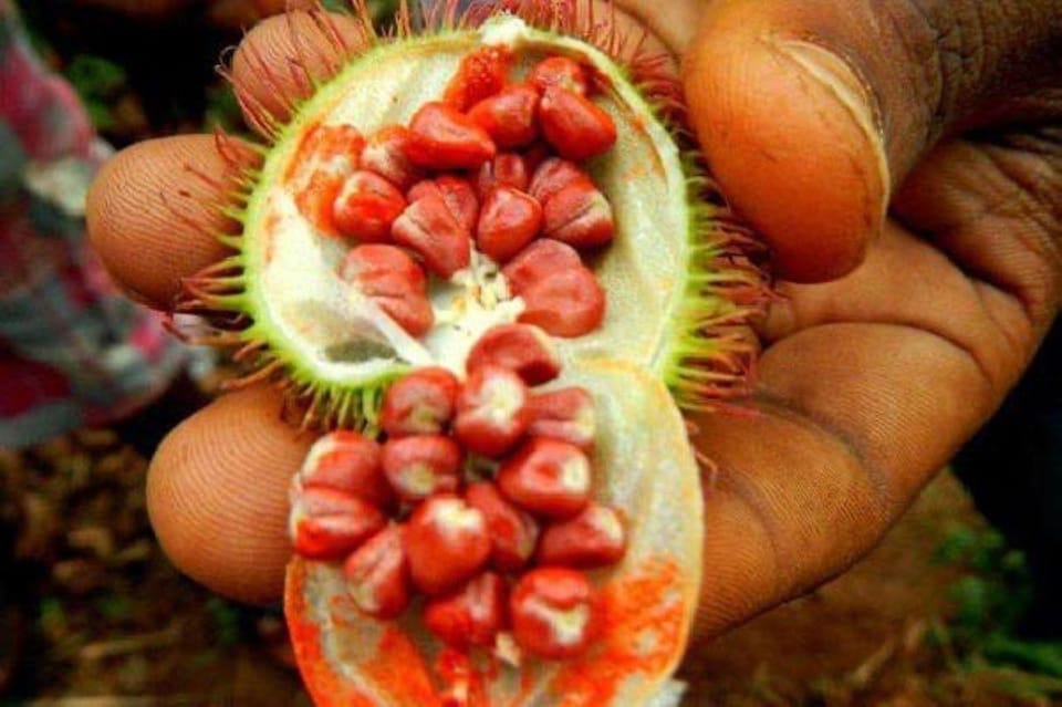 Zanzibar: Half - Day Spice Farm and Stone Town Historical Tour
