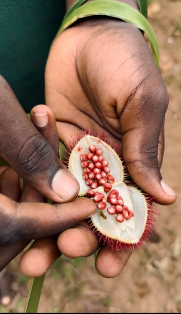 Zanzibar: Half - Day Spice Farm and Stone Town Historical Tour
