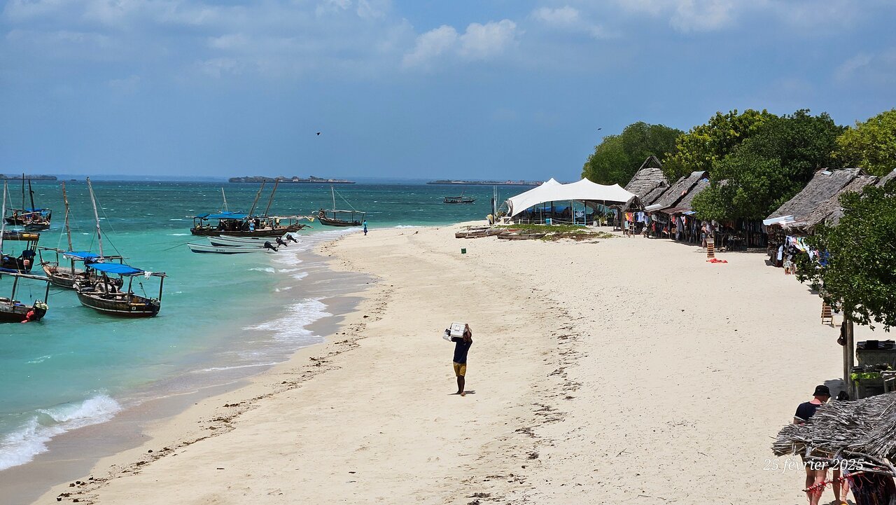 Zanzibar: Half - Day Tour to Blue Lagoon and The Rock Restaurant