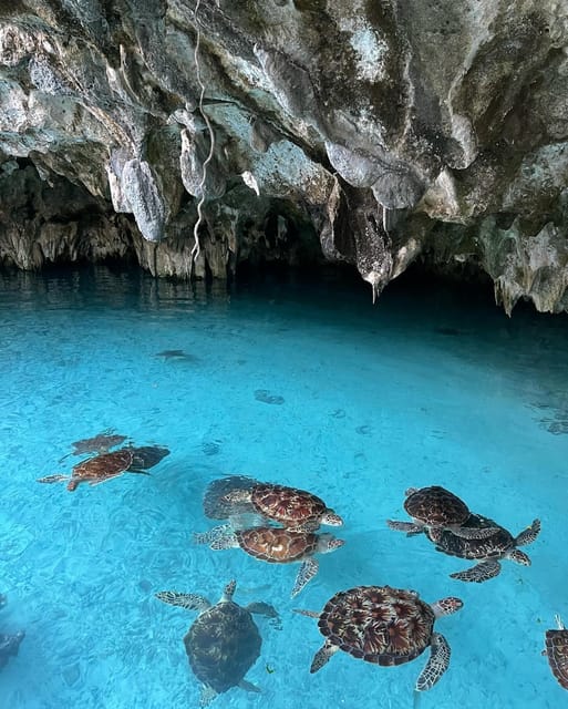 Zanzibar: Jozani Forest, Maalum Cave, Sea Turtles and Kae Beach Sunset Tour