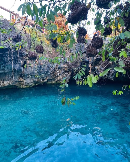 Zanzibar: Jozani Forest, Maalum Cave, Sea Turtles and Kae Beach Sunset Tour