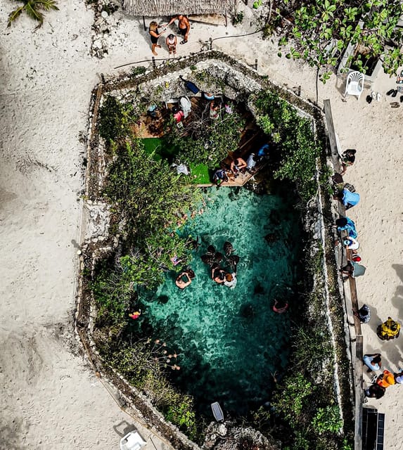 Zanzibar: Jozani Forest, Maalum Cave, Sea Turtles and Kae Beach Sunset Tour