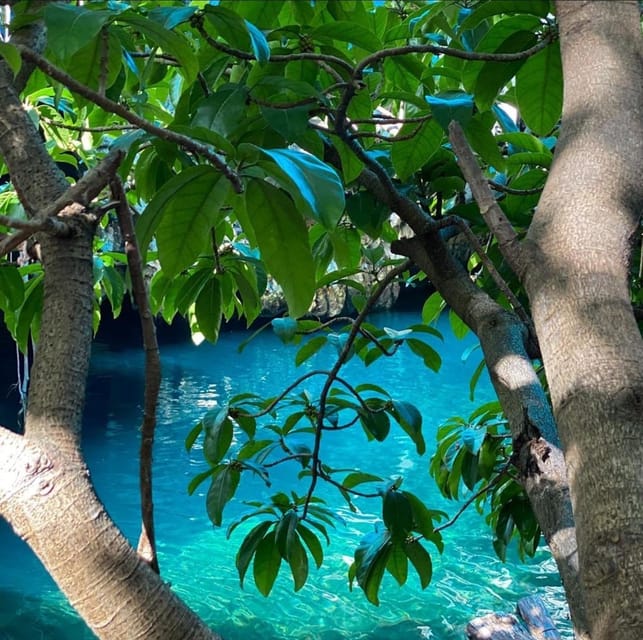 Zanzibar: Jozani Forest, Maalum Cave, Sea Turtles and Kae Beach Sunset Tour