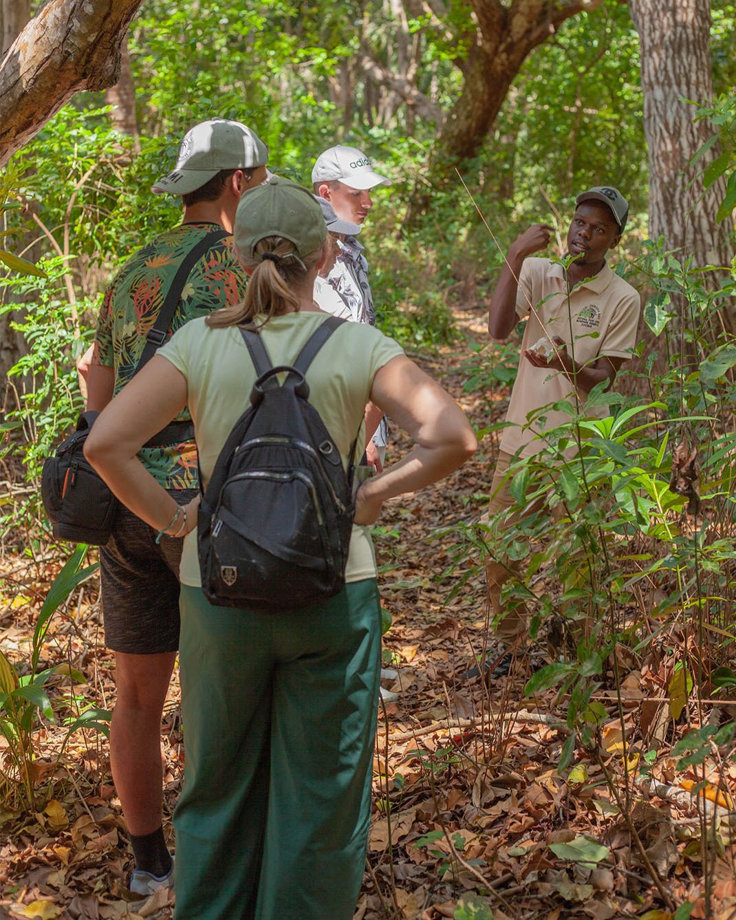 Zanzibar: Jozani Forest Tour with Hotel Pickup and Guided Nature Walk