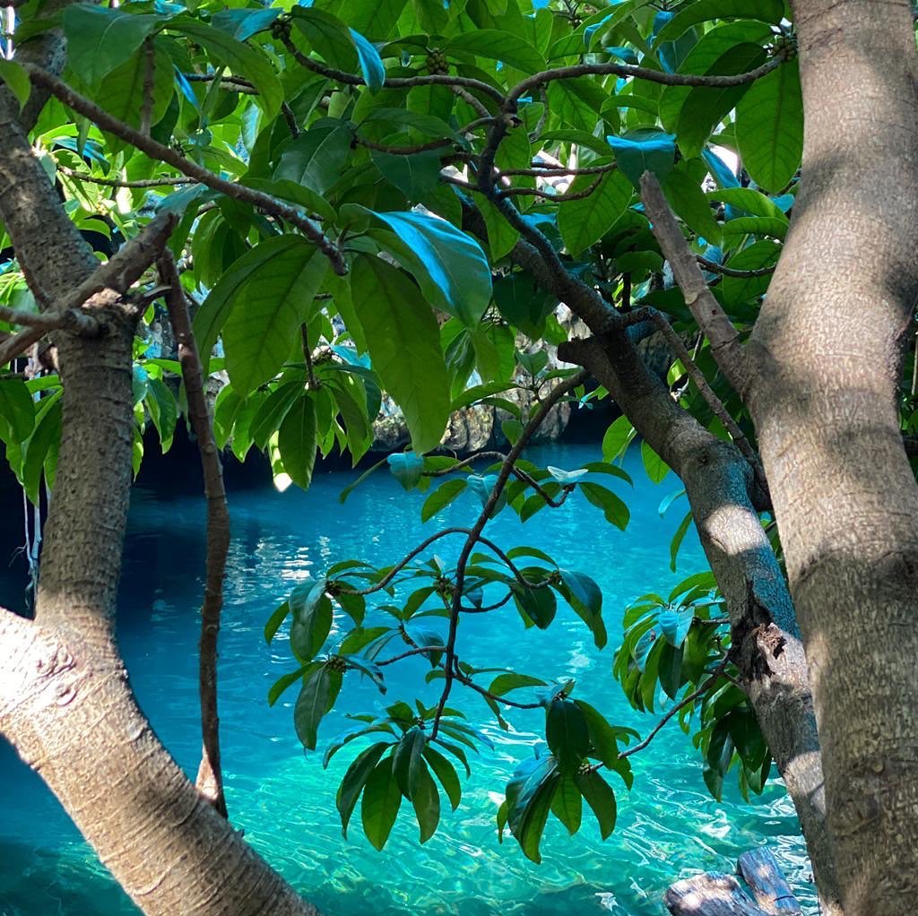 Zanzibar: Maalum Cave Natural Pool Tour with Hotel Pickup