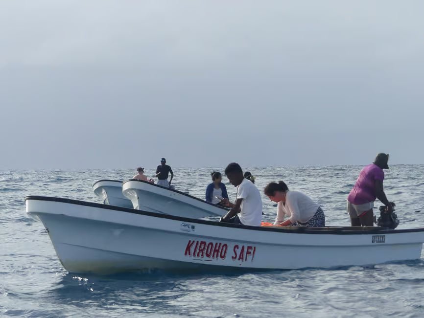 Zanzibar: Matemwe Dolphin Encounter, Jozani Forest, and Swahili Buffet Tour