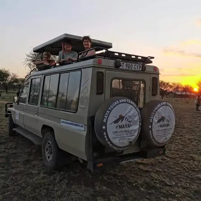 Zanzibar: Mikumi National Park Safari Day Trip with Flights and Game Drive