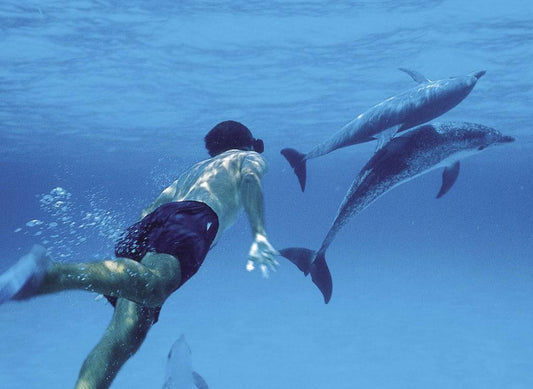 Zanzibar: Mnemba Atoll Dolphins and Kendwa Beach Full - Day Tour