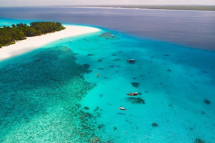 Zanzibar: Mnemba Atoll Dolphins and Kendwa Beach Full - Day Tour