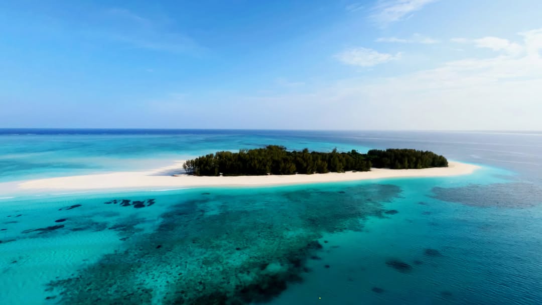 Zanzibar: Mnemba Boat Trip and Dolphin Snorkel Tour from Nungwi