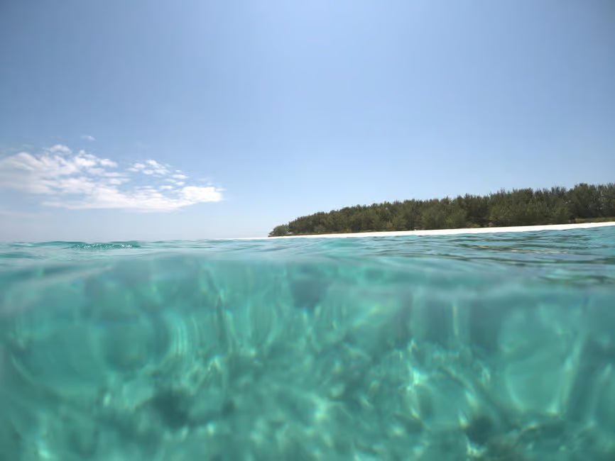 Zanzibar: Mnemba Island Boat Tour with Snorkeling and Optional Lunch