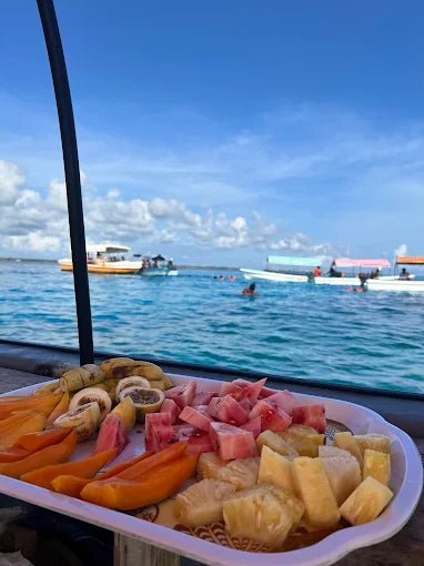 Zanzibar: Mnemba Island Dolphin and Snorkeling Boat Tour with Hotel Pickup
