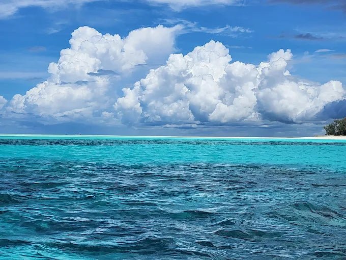Zanzibar: Mnemba Island Dolphin and Snorkeling Boat Tour with Hotel Pickup