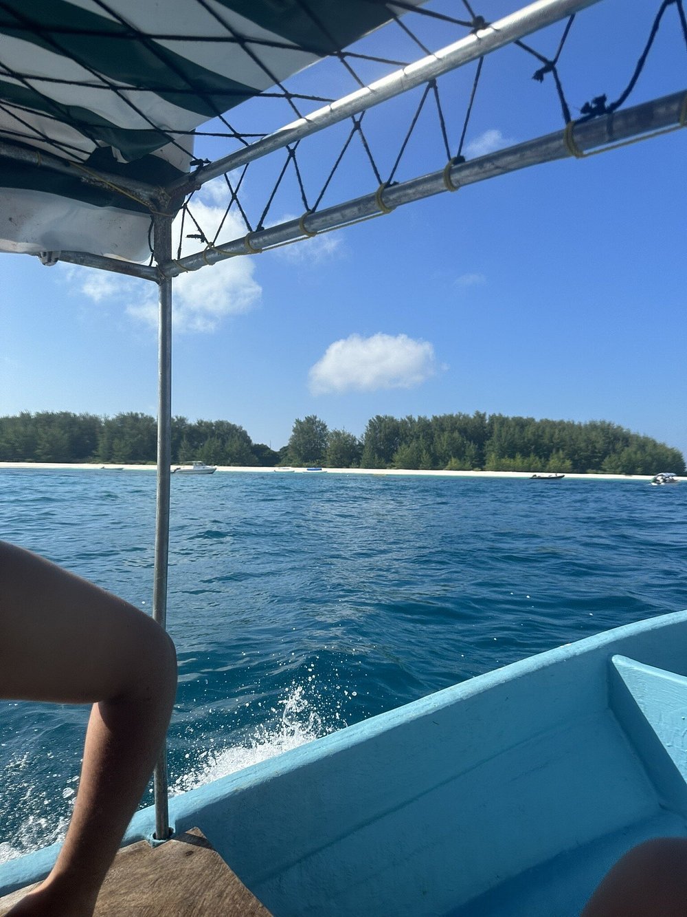 Zanzibar: Mnemba Island Dolphin Swim and Snorkeling Tour from Nungwi