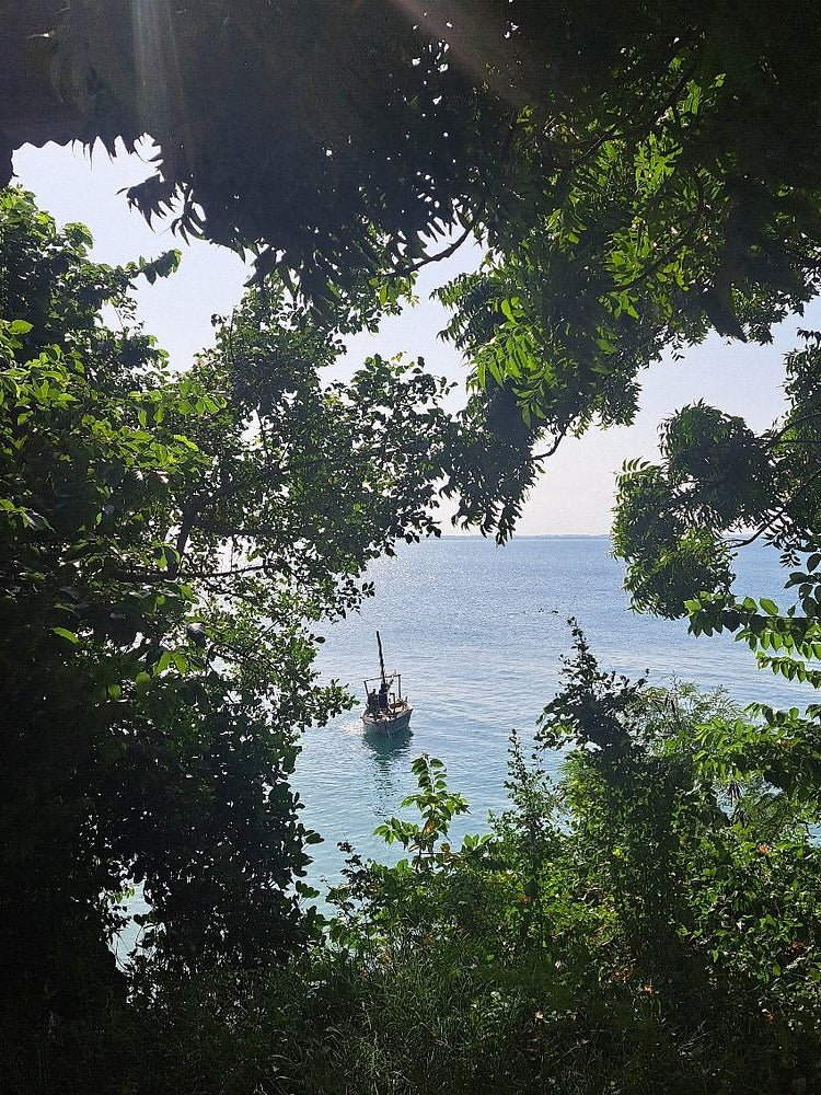 Zanzibar: Mnemba Island Dolphin Swim, Snorkeling, and Sandbank Picnic Trip