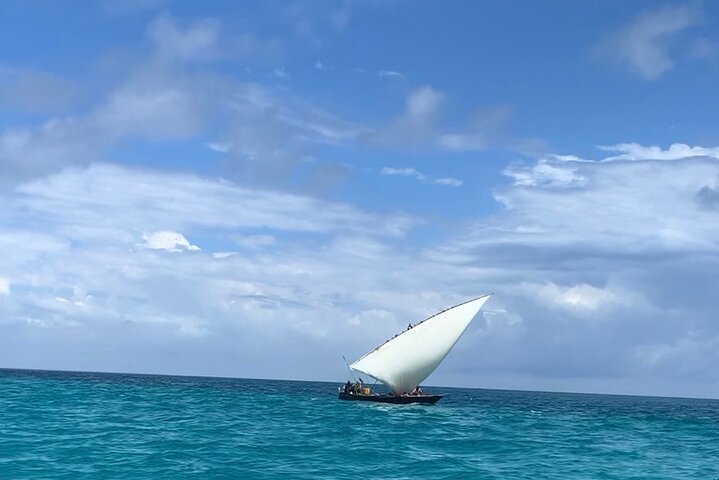 Zanzibar: Mnemba Island Dolphin Swim, Snorkeling, and Sandbank Picnic Trip