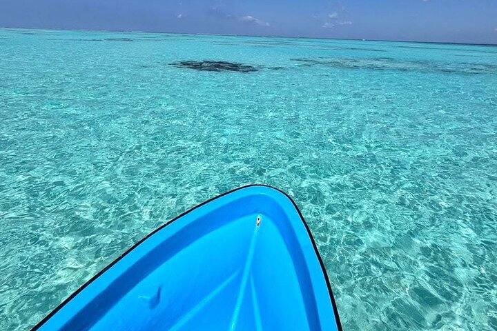Zanzibar: Mnemba Island Dolphin Swim, Snorkeling, and Sandbank Picnic Trip