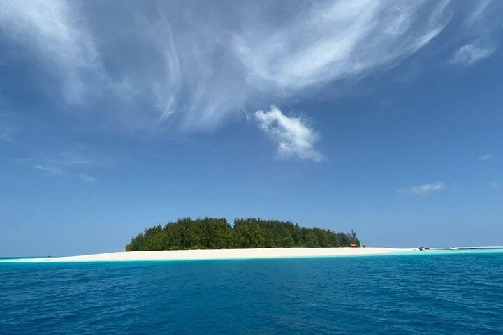 Zanzibar: Mnemba Island Dolphin Swim, Snorkeling, and Sandbank Picnic Trip