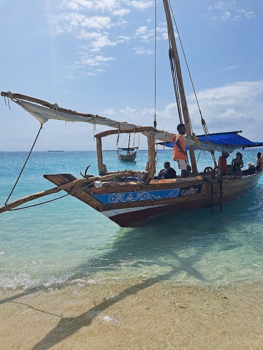 Zanzibar: Mnemba Island Dolphin Swim, Snorkeling, and Sandbank Picnic Trip