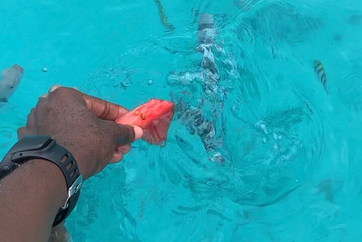 Zanzibar: Mnemba Island Dolphin Swim, Snorkeling, and Sandbank Picnic Trip