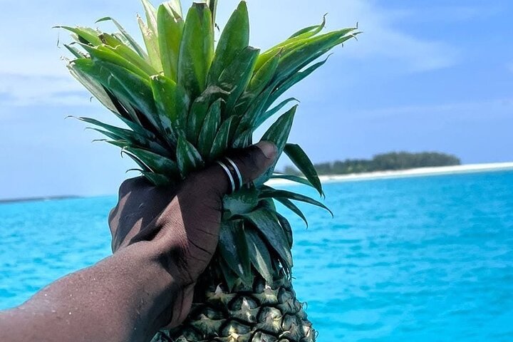 Zanzibar: Mnemba Island Dolphin Swim, Snorkeling, and Sandbank Picnic Trip