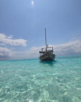 Zanzibar: Mnemba Island Dolphin Swim, Snorkeling and Seafood Lunch Tour