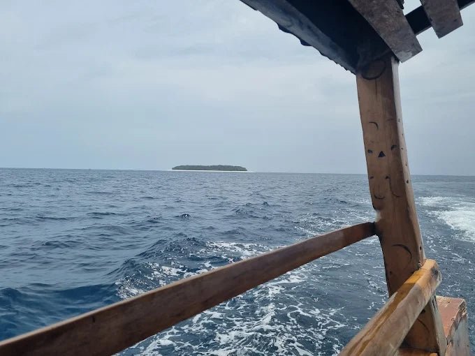 Zanzibar: Mnemba Island Dolphin Swim, Snorkeling and Seafood Lunch Tour