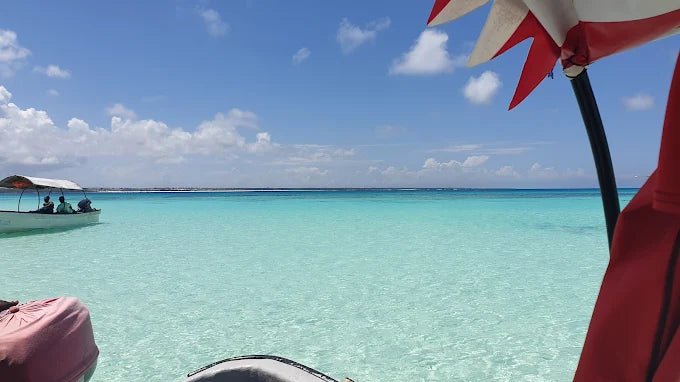 Zanzibar: Mnemba Island Private Snorkeling Tour with Sandbank Stop