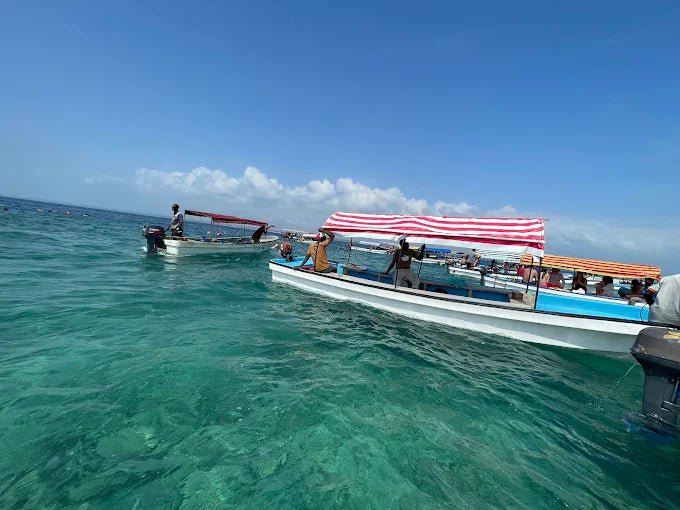 Zanzibar: Mnemba Island Private Snorkeling Tour with Sandbank Stop