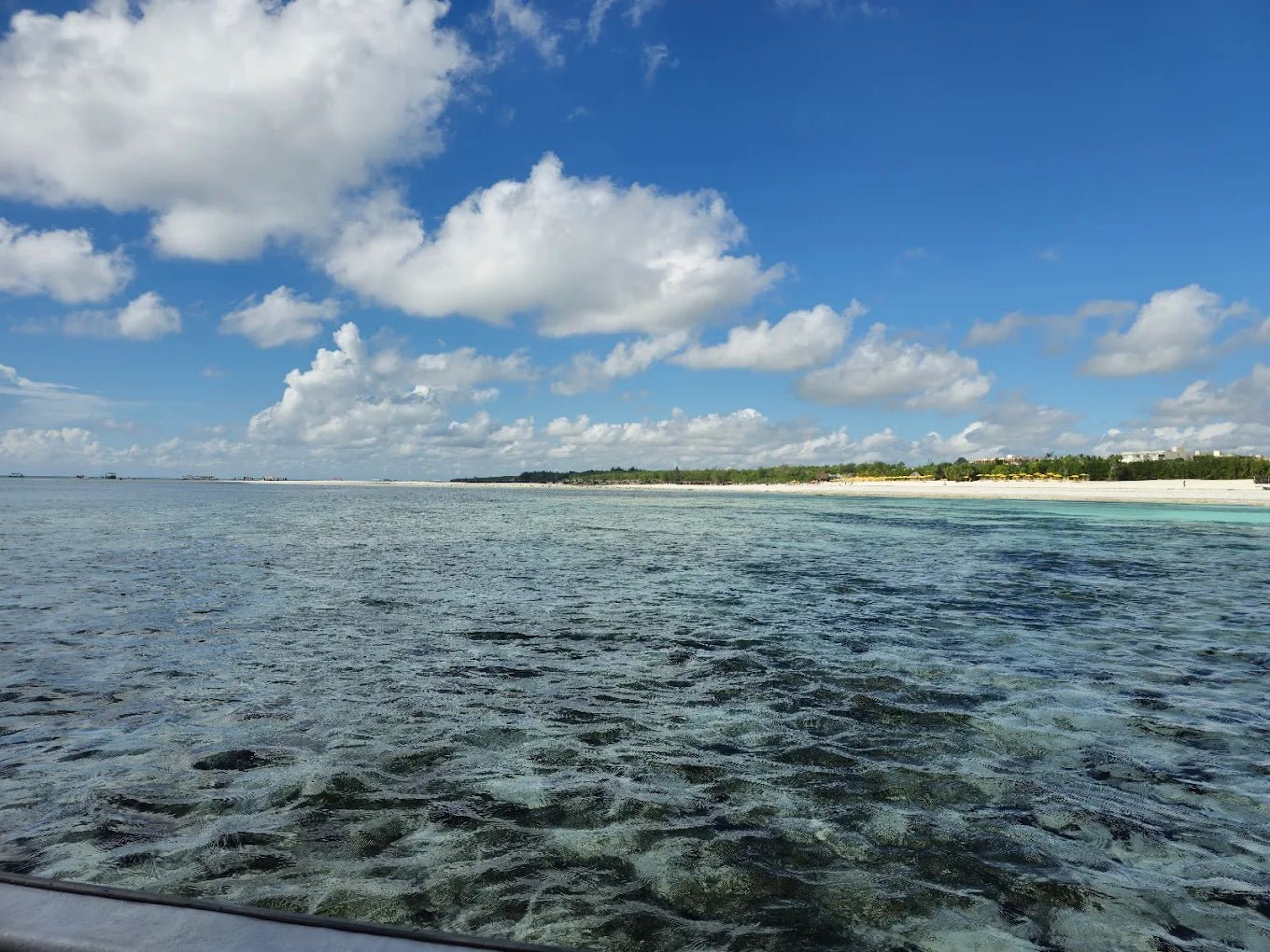 Zanzibar: Mnemba Island Snorkeling and Dolphin Tour from Nungwi or Kendwa