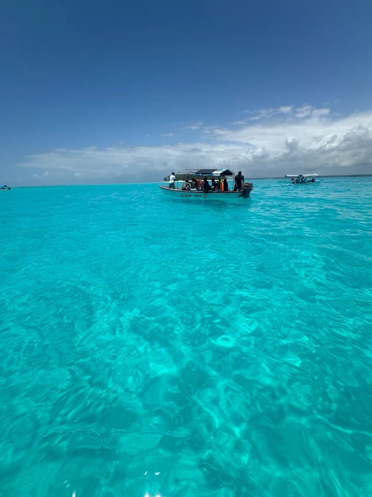 Zanzibar: Mnemba Island Snorkeling and Dolphin Tour from Nungwi or Kendwa