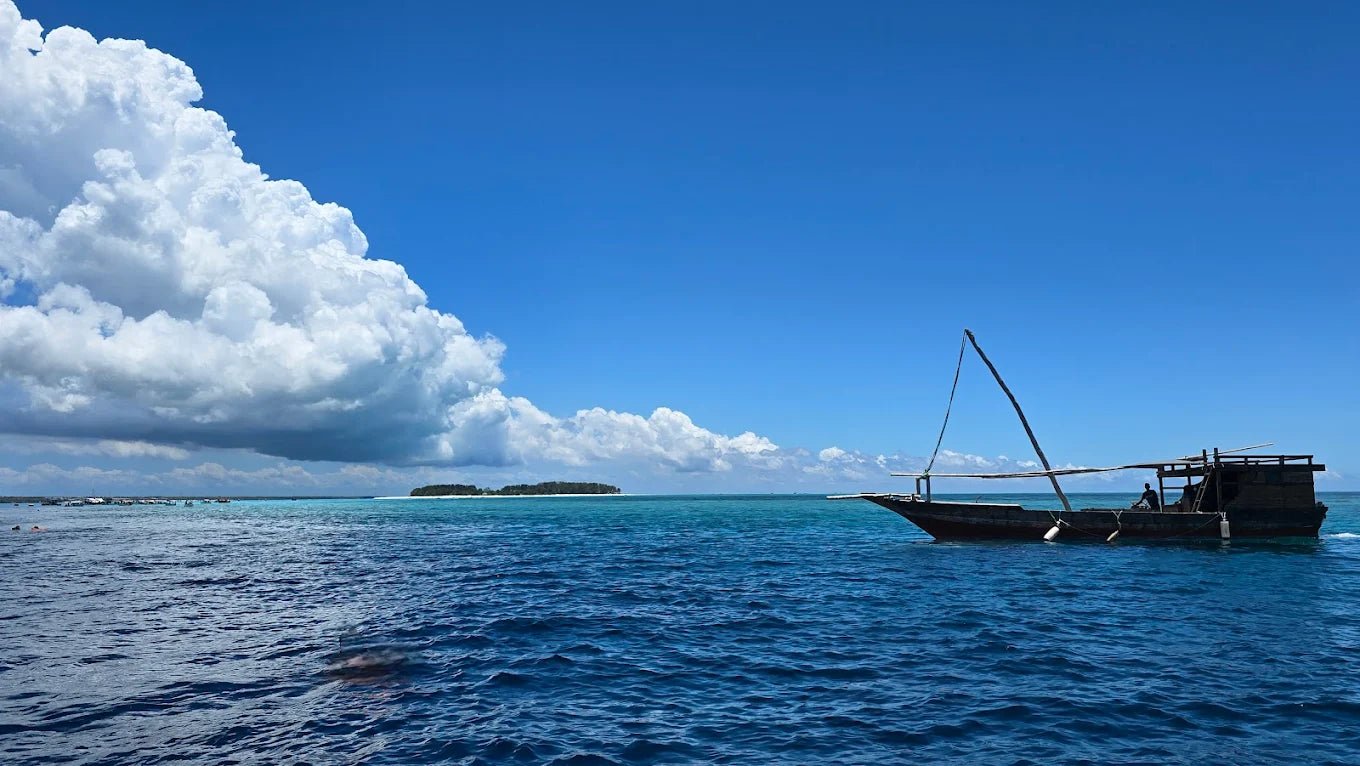 Zanzibar: Mnemba Island Snorkeling and Dolphin Tour from Nungwi or Kendwa