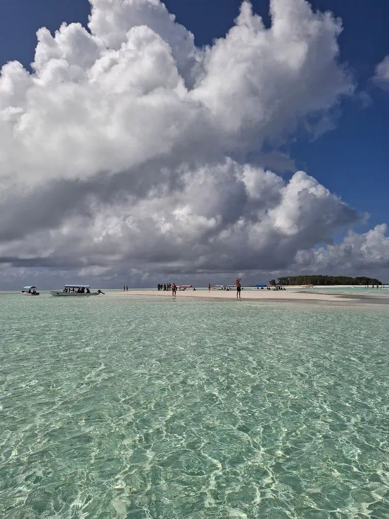 Zanzibar: Mnemba Island Snorkeling and Dolphin Tour from Nungwi or Kendwa