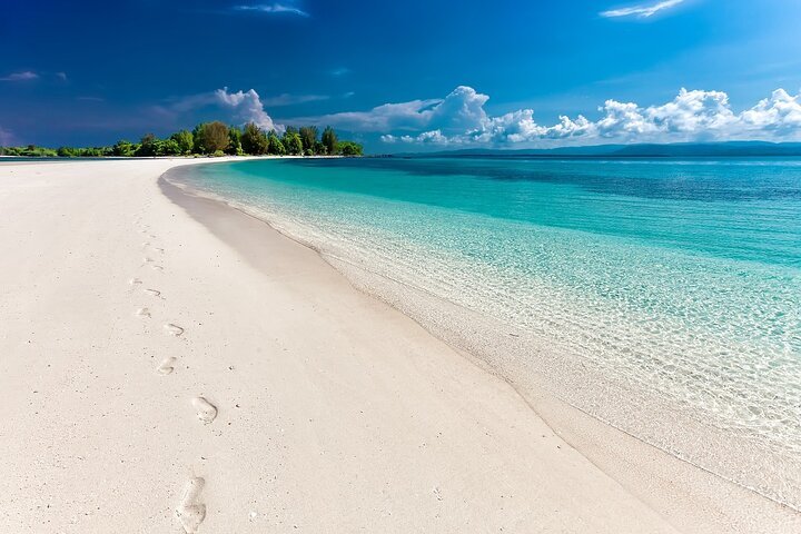 Zanzibar: Mnemba Island Snorkeling, Mnarani Turtles and Kendwa Beach Boat Trip