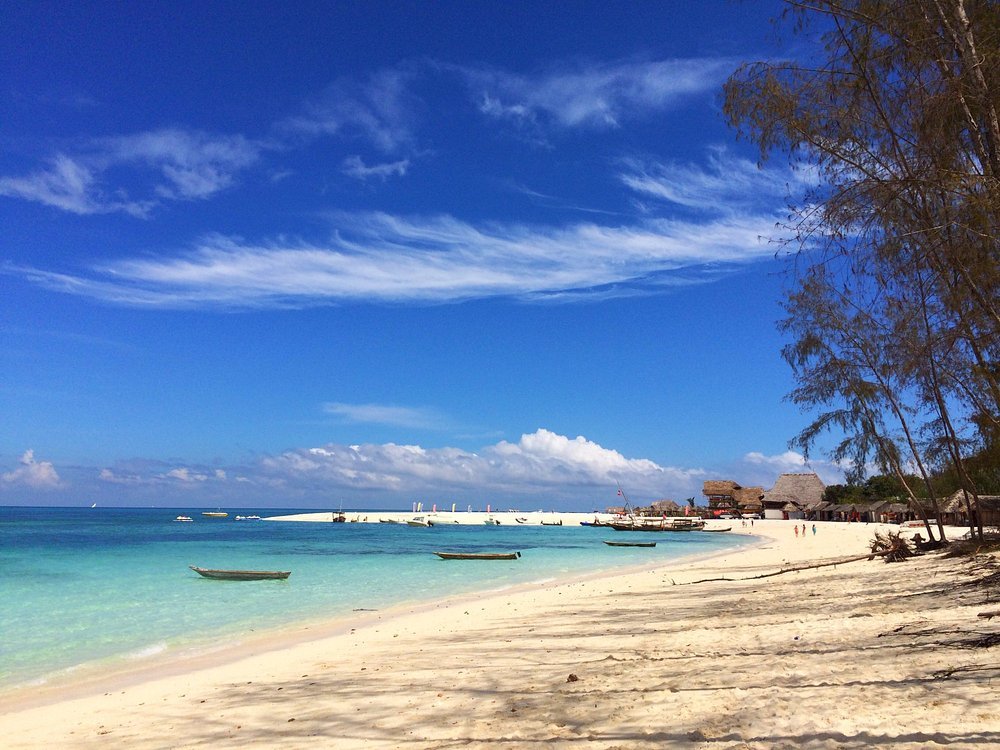 Zanzibar: Mnemba Island Snorkeling, Mnarani Turtles and Kendwa Beach Boat Trip
