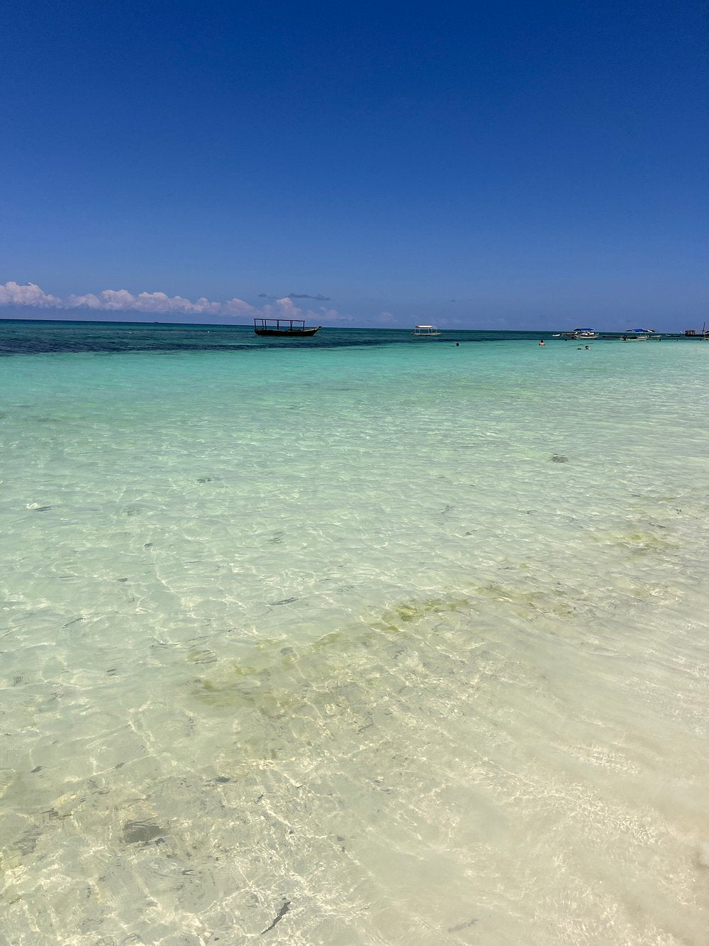 Zanzibar: Mnemba Island Snorkeling, Mnarani Turtles and Kendwa Beach Boat Trip