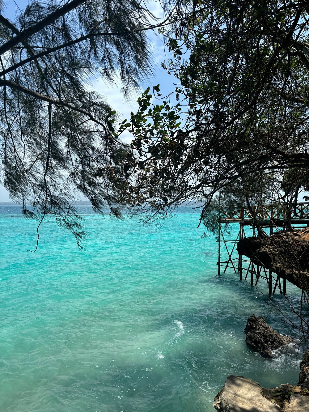 Zanzibar: Mnemba Island Snorkeling, Sea Turtles and Kendwa Beach Full - Day Tour