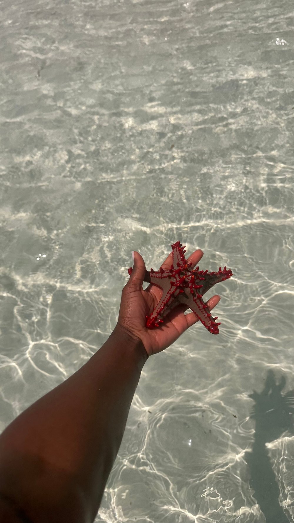 Zanzibar: Mnemba Island Snorkeling, Sea Turtles and Kendwa Beach Full - Day Tour
