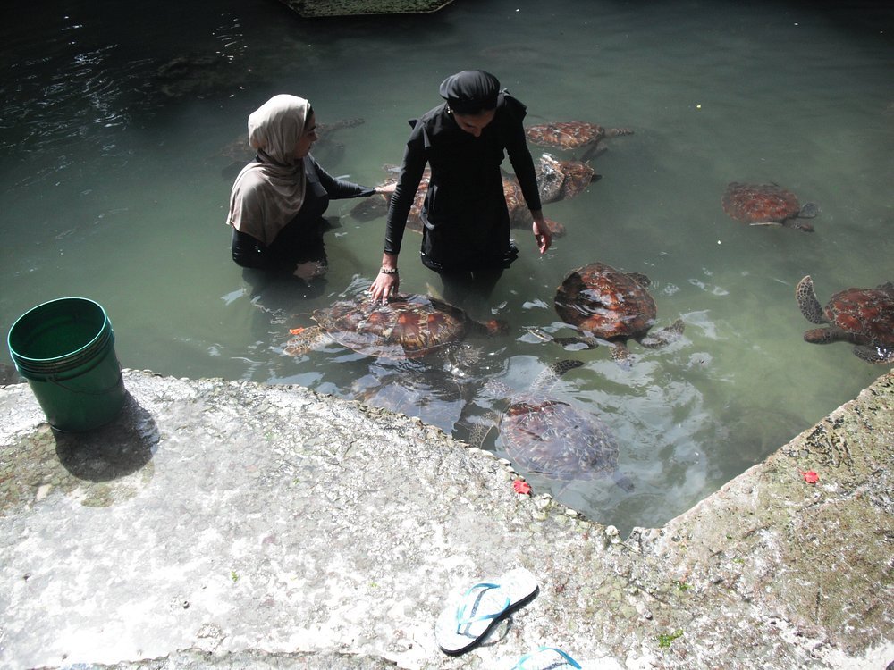 Zanzibar: Mnemba Island Snorkeling, Sea Turtles and Kendwa Beach Full - Day Tour