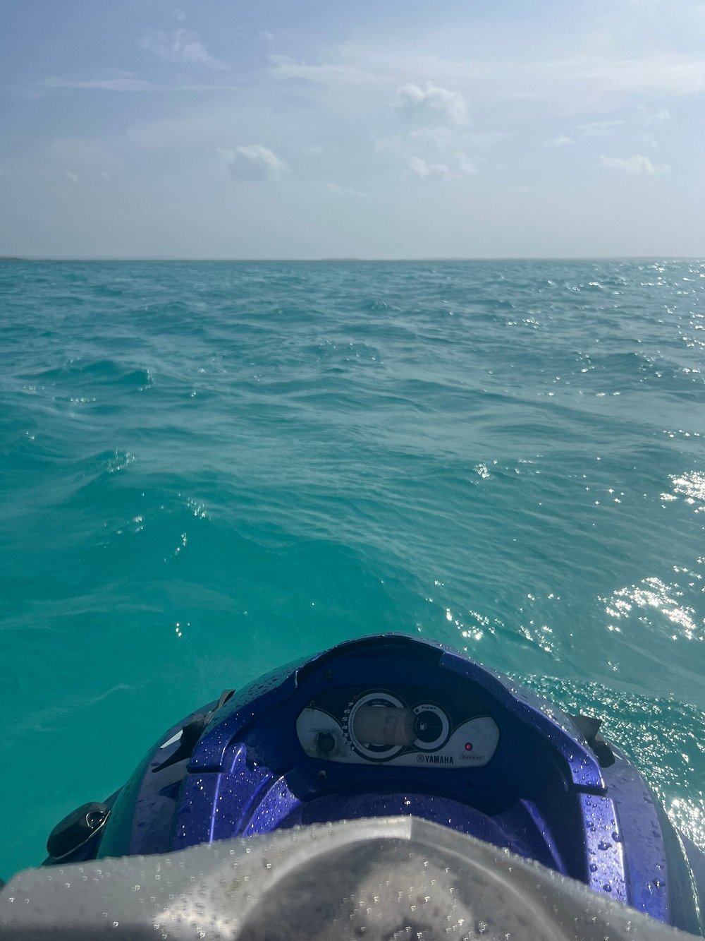 Zanzibar: Mnemba Island Snorkeling, Sea Turtles and Kendwa Beach Full - Day Tour