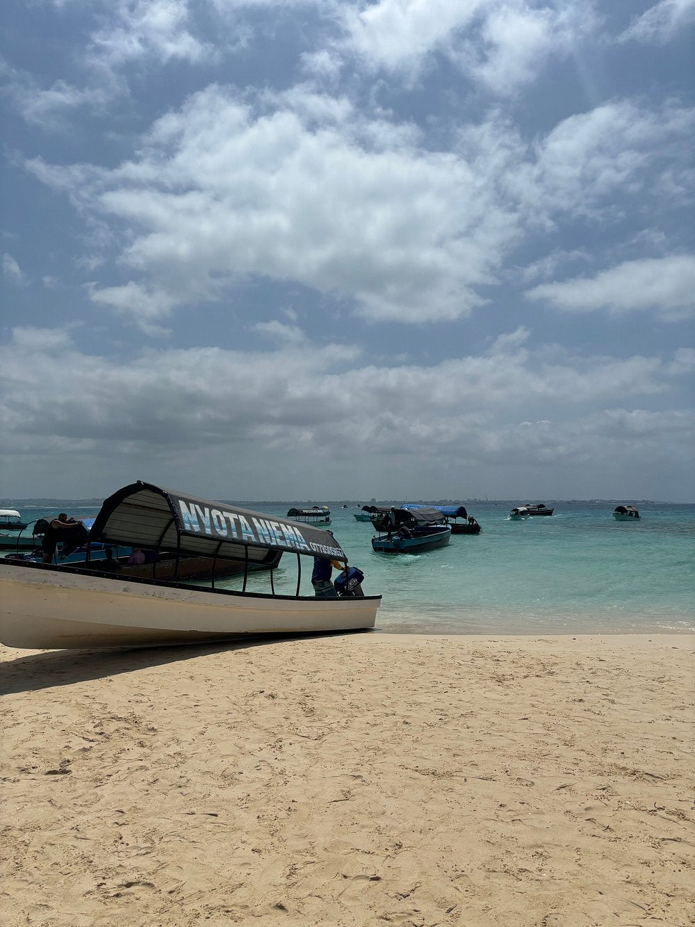 Zanzibar: Mnemba Island Snorkeling, Sea Turtles and Kendwa Beach Full - Day Tour