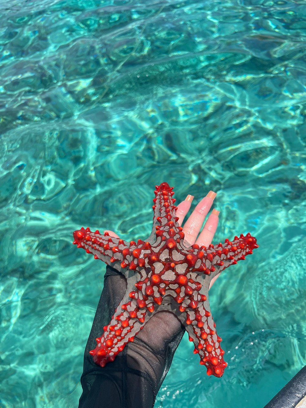 Zanzibar: Mnemba Island Snorkeling, Sea Turtles and Kendwa Beach Full - Day Tour