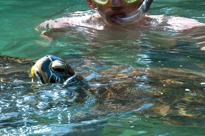 Zanzibar: Mnemba Island Snorkeling, Sea Turtles and Kendwa Beach Full - Day Tour