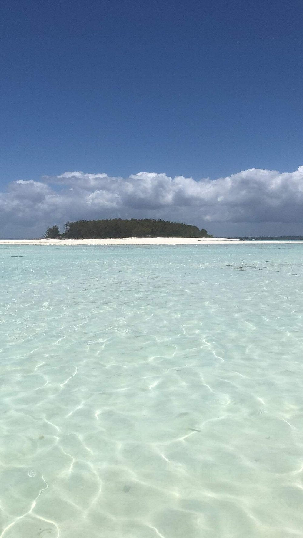 Zanzibar: Mnemba Island Snorkeling Trip and Seafood Lunch