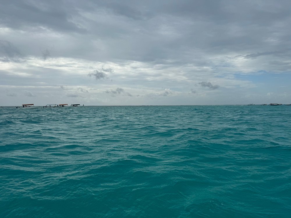 Zanzibar: Mnemba Island Snorkeling Trip and Seafood Lunch