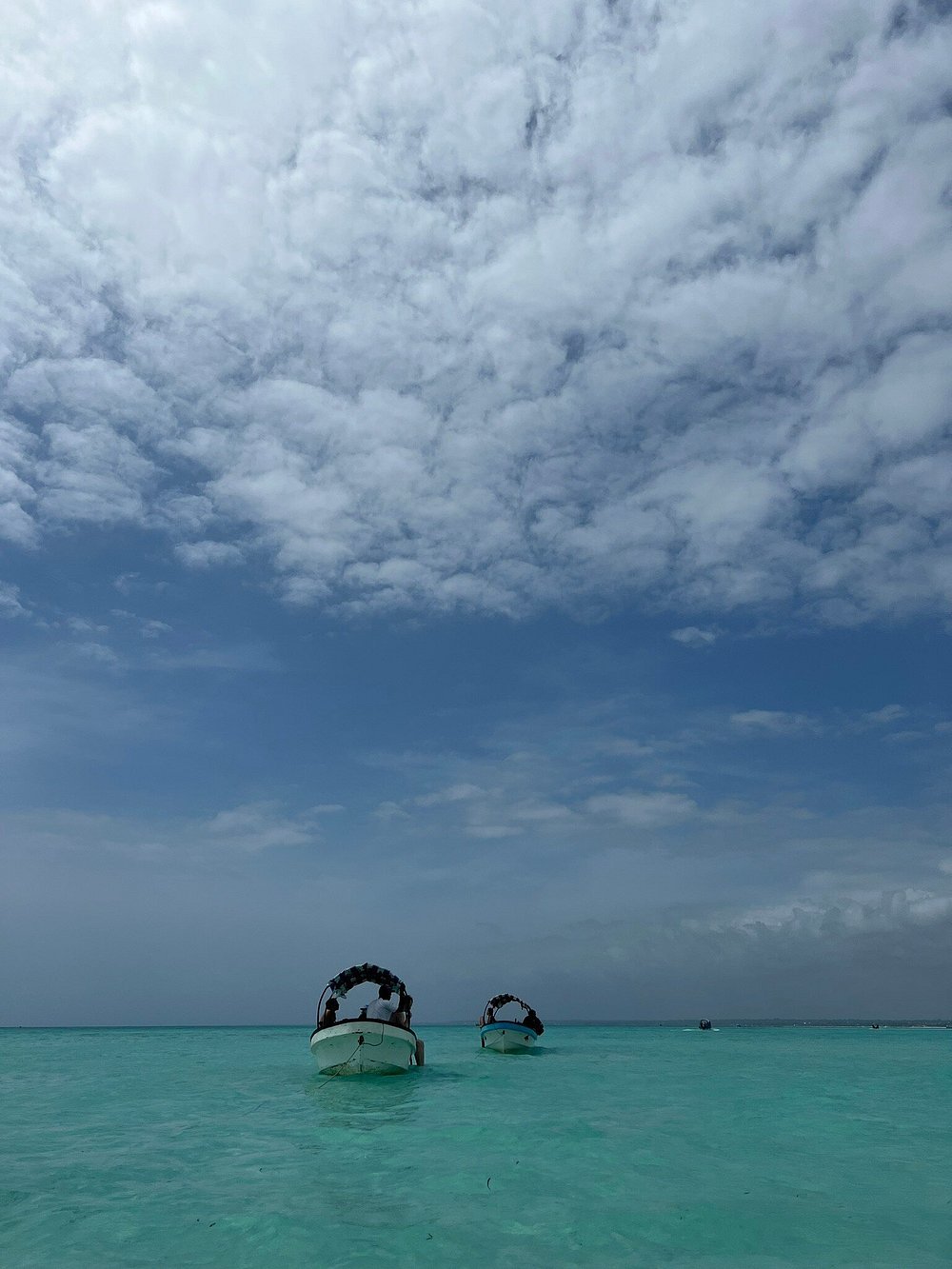 Zanzibar: Mnemba Island Snorkeling Trip and Seafood Lunch