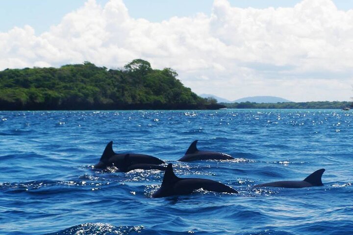 Zanzibar: Mnemba Island Tour with Dolphin Watching, Snorkeling and Turtle Lagoon
